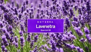 buy lavender oil