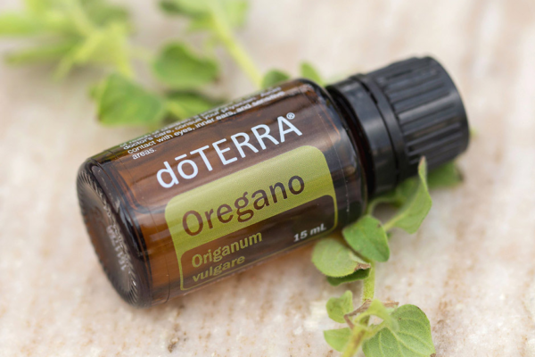 Oregano: The Hulk of Immunity 💪🟢