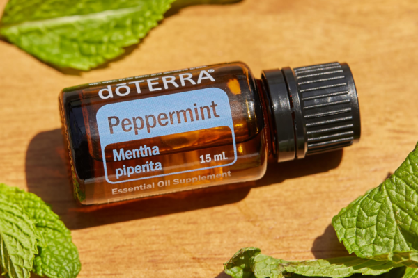 Peppermint Guide: The Elsa of Energy and Cooling ❄️👑🌿